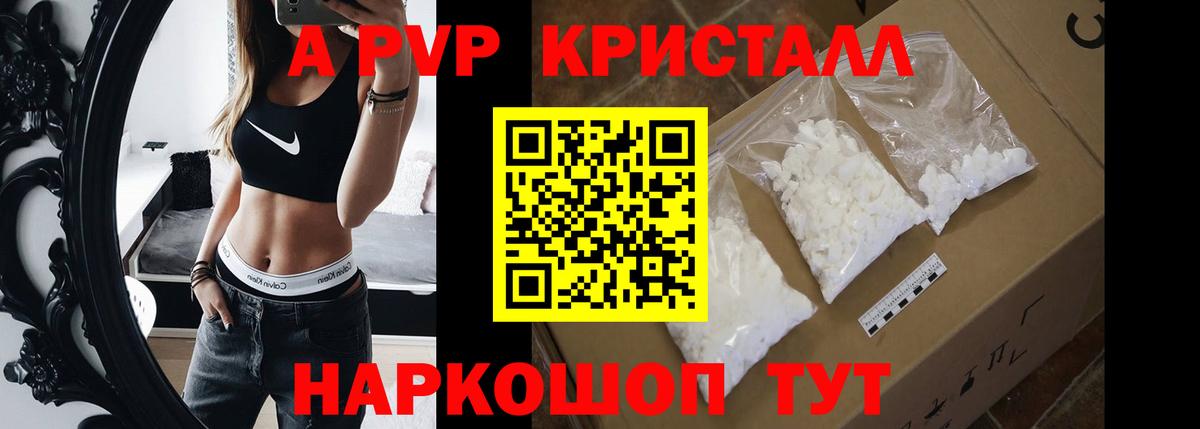 A PVP СК Фрязино