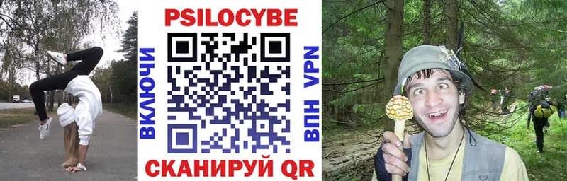 купить   Фрязино  Псилоцибиновые грибы Cubensis 