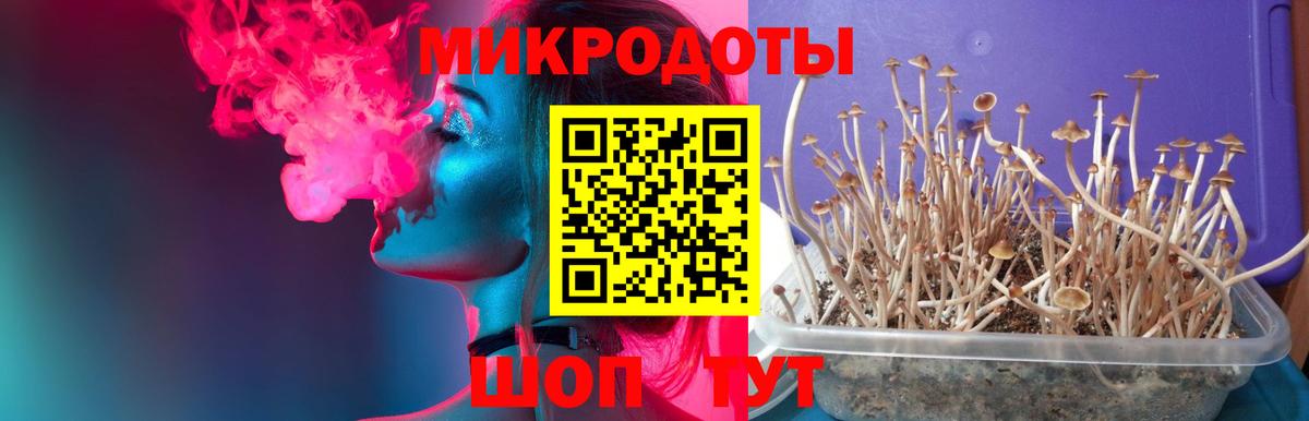 Псилоцибиновые грибы Magic Shrooms  Вход с VPN  Фрязино 